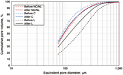Example of pore size distributions from the CT scans for scenarios NC/NL, C, and L.