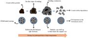 Swelling-degradation of crumb rubber particles inside the bitumen.